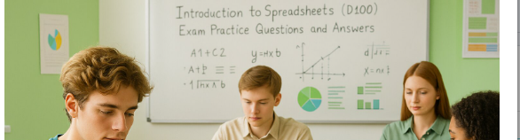 Introduction to Spreadsheets (D100)