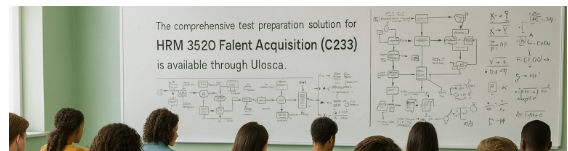 Employment Law  (C233 )