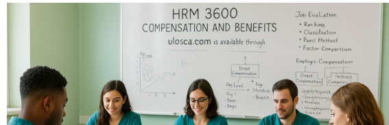 Compensation and Benefits (C236)