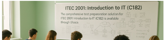 Introduction to IT (C182)