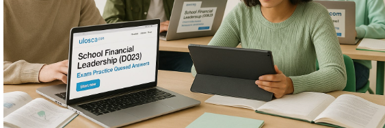 School Financial Leadership (D023)