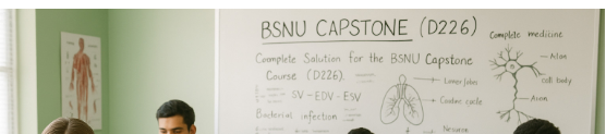 BSNU Capstone (D226)