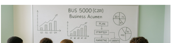 Business Acumen (C201)