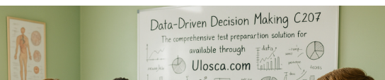 Data-Driven Decision Making C207