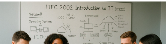 Introduction to IT (D322)
